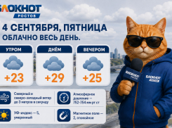 Погода в Ростове порадует небольшим похолоданием, без солнца