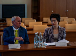 На Дону эксперты поговорили о перспективах развития сельского хозяйства