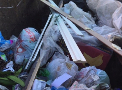 В Ростовской области за первые два месяца регоператорами выявлено более 800 эконарушений