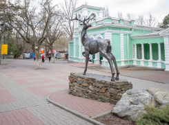 В зоопарке Ростова-на-Дону из-за введенных санкций снизили стоимость билетов