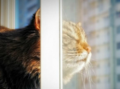 Жарким и сухим выдастся воскресный день для жителей Ростова