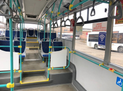 Ростовские автобусы оснастят бесплатным Wi-Fi