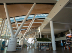 Почти 190 млн рублей получит ростовский аэропорт Платов из-за ограничения полетов