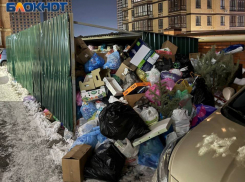Стало известно, где в Ростове пока не вывозят мусор из-за гололеда