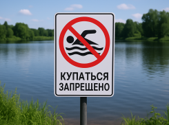 С начала года в Ростовской области утонули 16 человек 