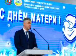 Алексей Логвиненко наградил многодетных мам Ростова в честь Дня матери
