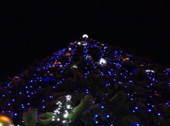 В парке Горького для ростовчан устанавливают новогоднюю елку