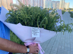 Депутат заксобрания подарил сити-менеджеру Ростова букет из амброзии