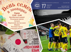 Отмечаем День семьи, узнаем о японском лете и смотрим матч с «Зенитом»: куда пойти в Ростове в эти выходные