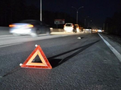 Пешеход погиб под колесами микроавтобуса в Ростовской области