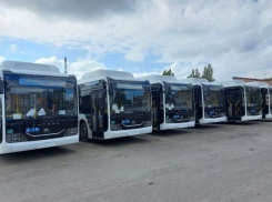 На Дону за три года перевозчики закупили 270 новых автобусов
