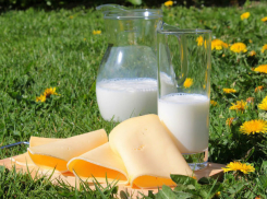 В детском саду и гимназии Ростова детей кормили некачественной молочкой