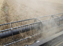 Климатические изменения угрожают сельскохозяйственной отрасли Ростовской области — считает эксперт