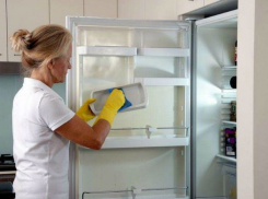 Проверяющих напугали кишащие микробами холодильники в детском саду Ростова