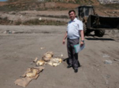 Двадцать килограммов санкционного пармезана размазали по полигону в Ростове-на-Дону