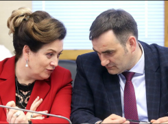 Эксперт: «Работу Кобзева надо оценивать не отчетами Минздрава, а отзывами жителей»