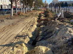 ‭«Это варварство»: сосновую аллею в Новочеркасске уничтожили под видом благоустройства