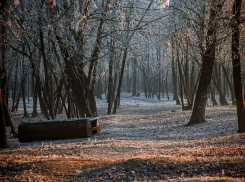 Левый берег Ростова власти решили преобразить и обустроить к осени 2017 года