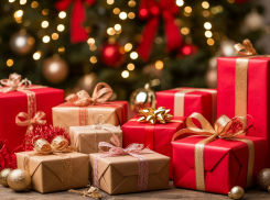 Аналитики назвали самые популярные новогодние товары, которые заказывают ростовчане