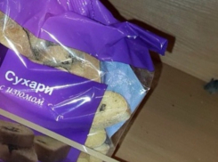 Ростовчане обнаружили мышь в «О'кее» на Малиновского