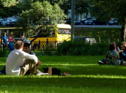 Теплое и безоблачное начало рабочей недели настроит на позитивный лад жителей Ростова