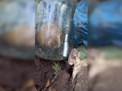 Двое ростовчан в один день нашли гранату и снаряд на своих участках