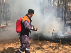 Самый крупный пожар в Ростовской области локализован