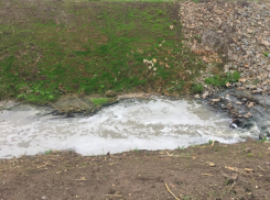 Василий Голубев поручил разобраться с загрязнением реки Темерник стоками