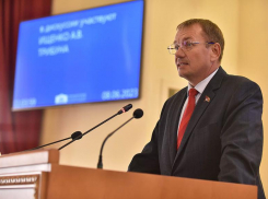 Депутат Мисан назвал выборы в Заксобрание Ростовской области фарсом