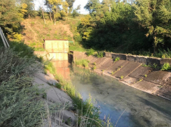 «Вода стала белой»: ростовчане пожаловались на загрязнение реки Темерник