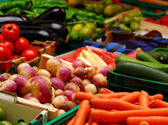 Универсальная ярмарка производителей Ростовской области пройдет в донской столице