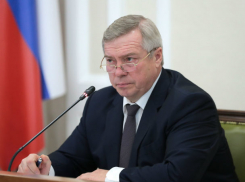 Двойное гражданство и поджоги домов на Театралке - ведущие телеграм-каналы заговорили о губернаторе Голубеве