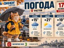 В Ростове в субботу 17 октября ожидается дождь и  до +21