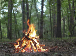 Вспыхнет от любой искры: режим чрезвычайной пожароопасности продлили в Ростовской области