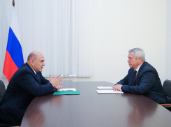 Михаил Мишустин обещал помочь Ростовской области в борьбе с лесными пожарами