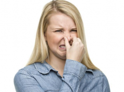 Ростовчанка пожаловалась чиновникам на смрад канализации в подъезде 