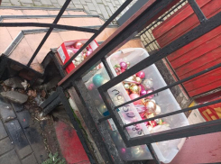 Ростовчане стали в 1,6 раза чаще покупать советские новогодние игрушки