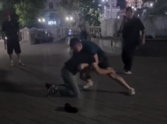Два драчуна устроили ночной поединок под яйцами в центре Ростова