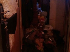 Кошмарная комната с тараканами, клопами и вонью попала на видео в Ростове