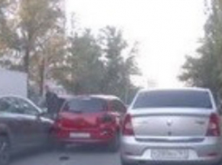 На Дону голубь спровоцировал аварию с тремя автомобилями