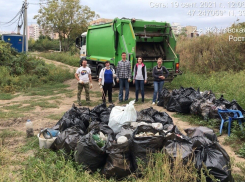 В Ростове-на-Дону Всемирный день чистоты отметили субботниками и экопикниками