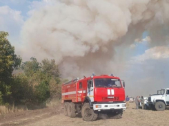 Крупный лесной пожар на площади в 125 га вспыхнул в Ростовской области