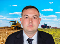 На погоду не надеемся: эксперт дал прогноз об урожае в донском регионе
