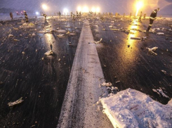 Пилотам разбившегося в Ростове самолета не сообщили полный прогноз погоды