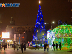 На техническое открытие главной новогодней елки в Ростове потратят больше 2 млн рублей