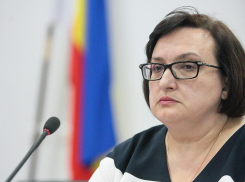 Главный судья Ростовской области сократила свои доходы