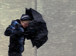 Ветреным и дождливым выдастся первый день рабочей недели для жителей Ростова 