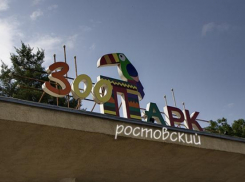 День птиц и древонасаждения отпразднуют в ростовском зоопарке