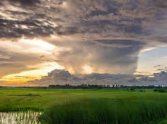 Облачно, но тепло: какая погода ждет ростовчан в субботу, 7 марта