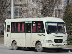 Оплатить проезд со скидкой можно будет в ростовских маршрутках